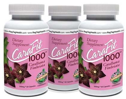 CaraFit 1000 Caralluma Fimbriata Supplement for Weight Loss