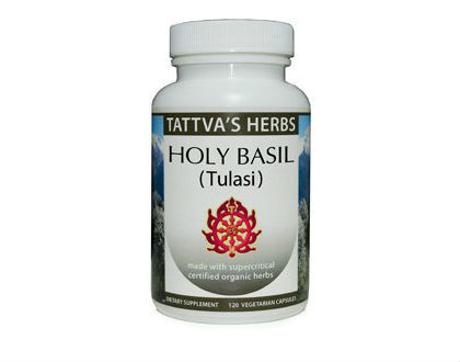 Tattva’s Herbs Holy Basil
