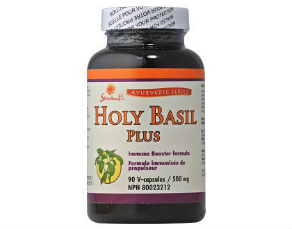 Sewanti Holy Basil