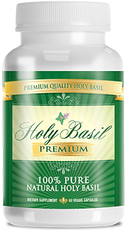 Holy Basil Premium Review