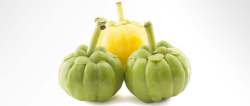 photo of garcinia cambogia fruit