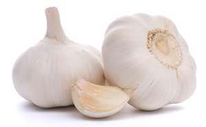 garlic to treat yeast infection