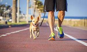 A man walking with his dog