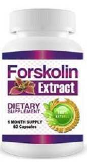 Forskolin Diet Dr Supplement for Weight Loss