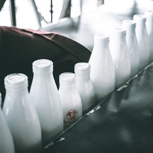 photo of milk bottle lot