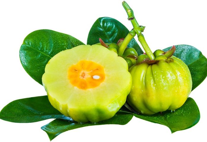 Garcinia Cambogia And Weight Loss - How It Works