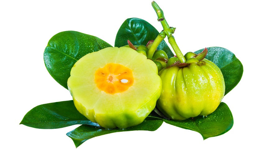 Garcinia Cambogia And Weight Loss - How It Works